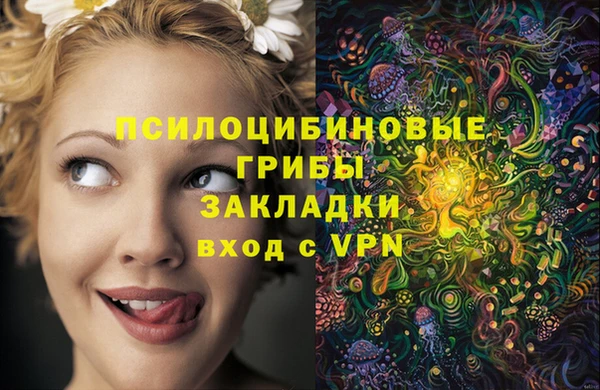 спайс Алзамай