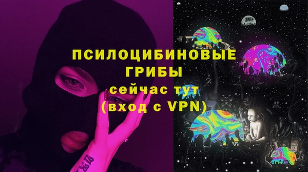 спайс Алзамай