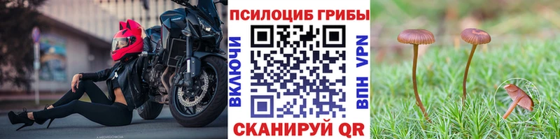 где купить наркоту  Ленинск-Кузнецкий  Псилоцибиновые грибы ЛСД 
